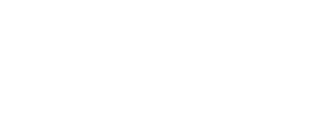 Logo Dataform weiss neu